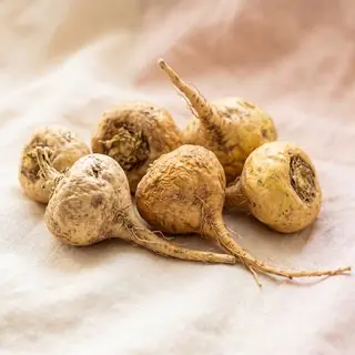 Maca